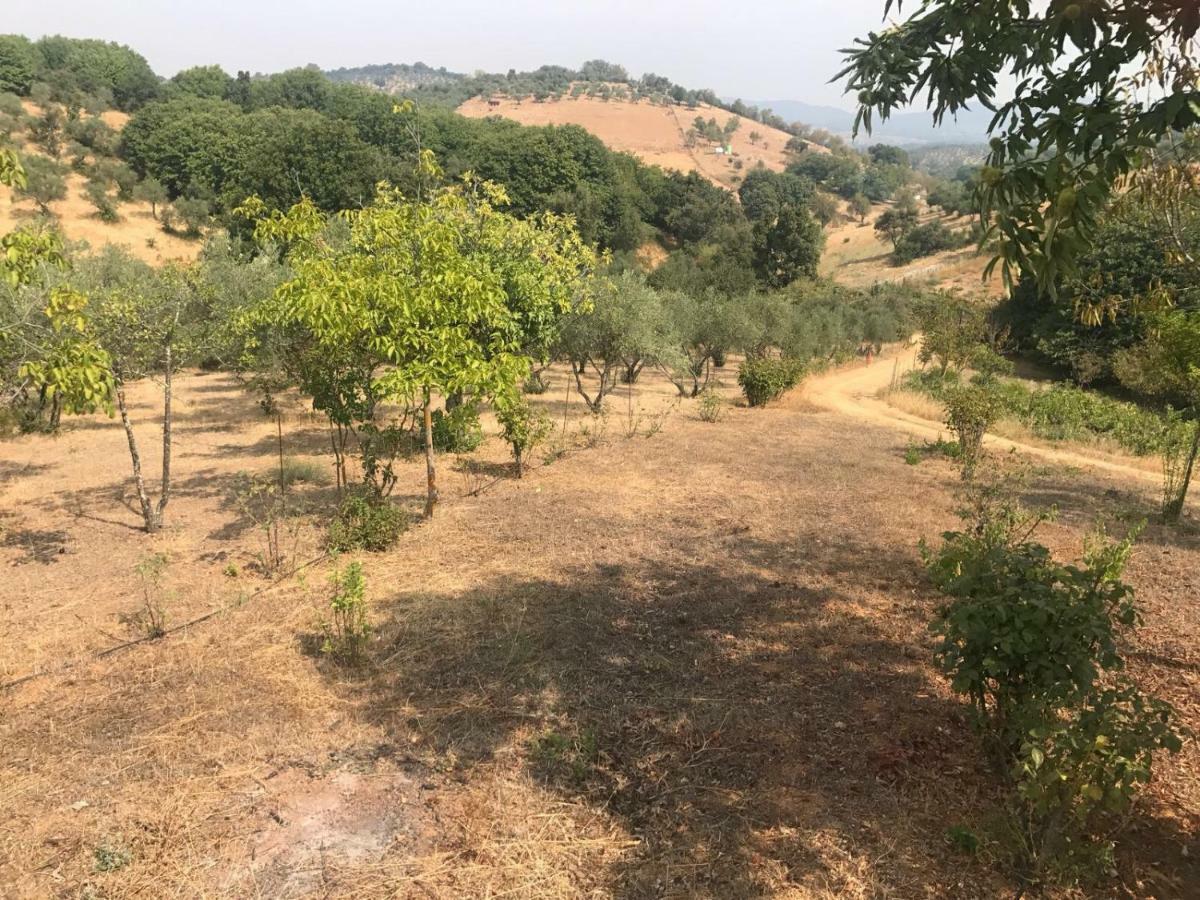 Casa Rural En Constantina Dış mekan fotoğraf