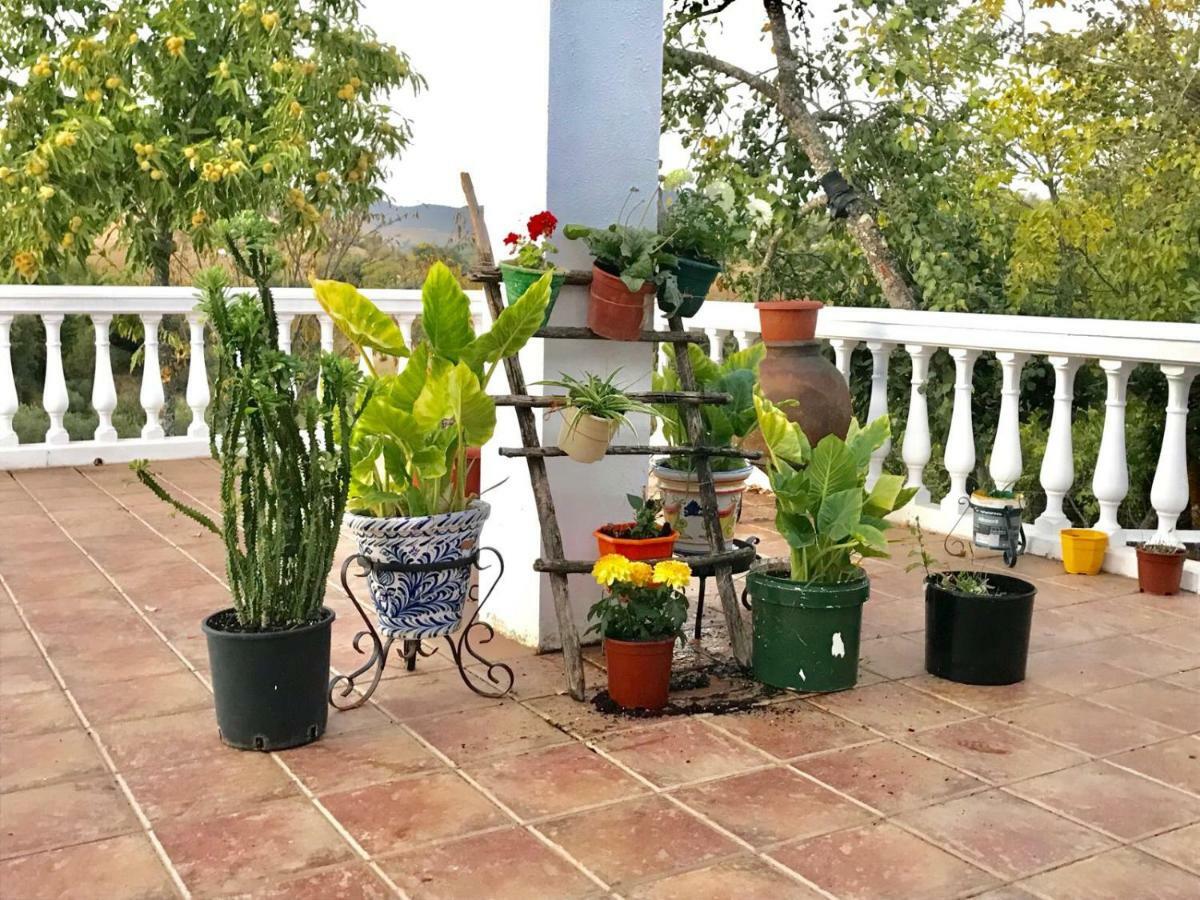 Casa Rural En Constantina Dış mekan fotoğraf