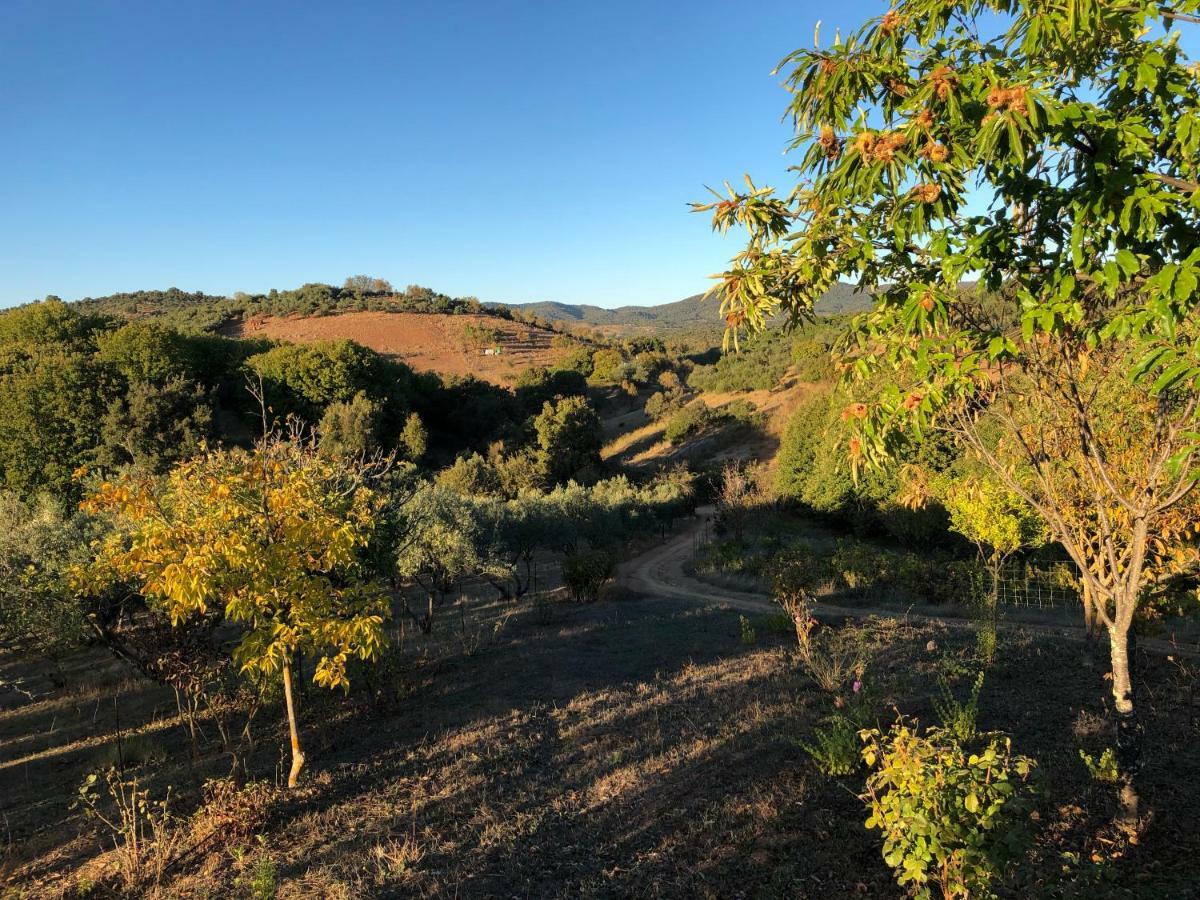 Casa Rural En Constantina Dış mekan fotoğraf